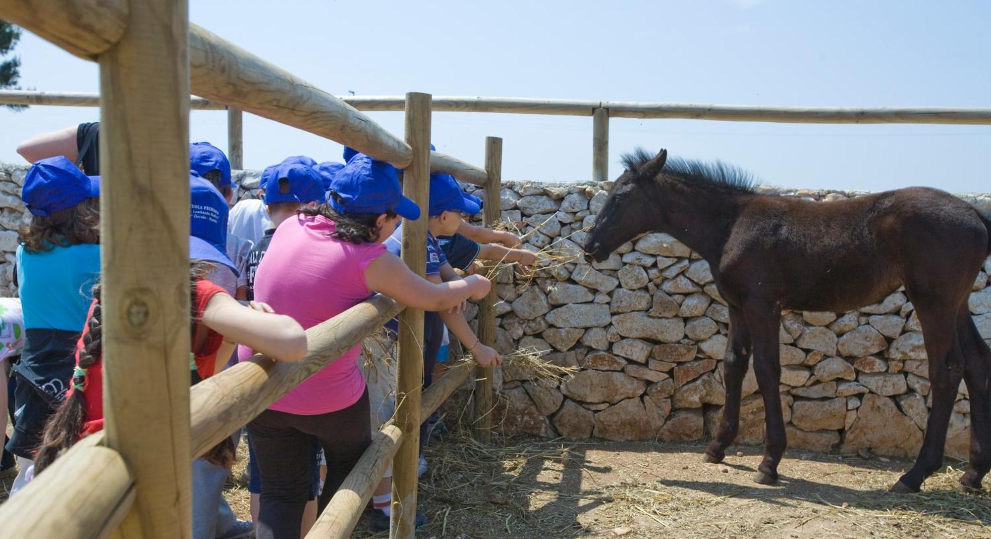 Agriturismo Scalelle Otranto Ngoại thất bức ảnh