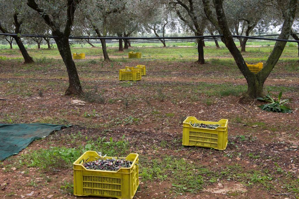 Agriturismo Scalelle Otranto Ngoại thất bức ảnh