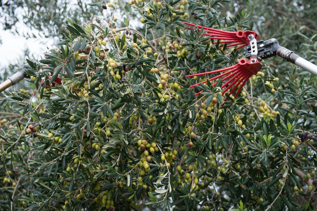 Agriturismo Scalelle Otranto Ngoại thất bức ảnh